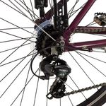 Traction 100 Női Kerékpár